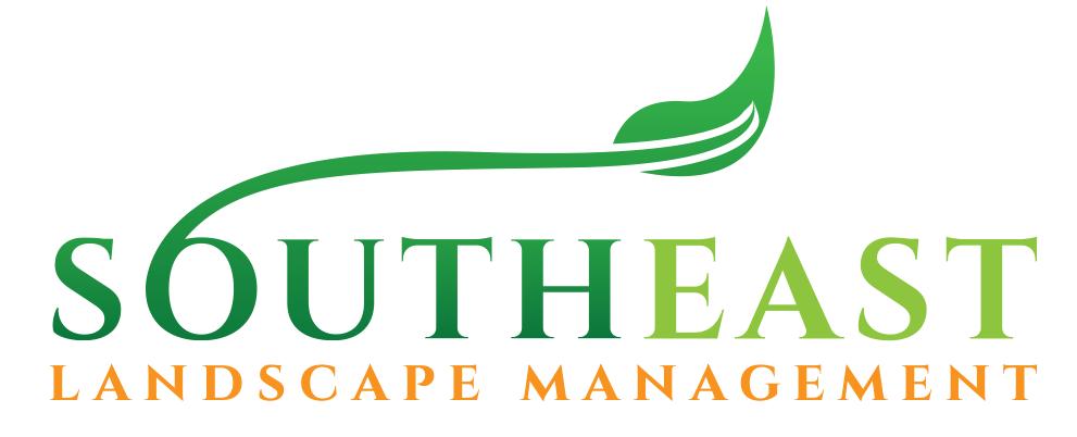 https://www.southeastlsm.com/wp-content/uploads/2021/03/cropped-SLM-Logo.png