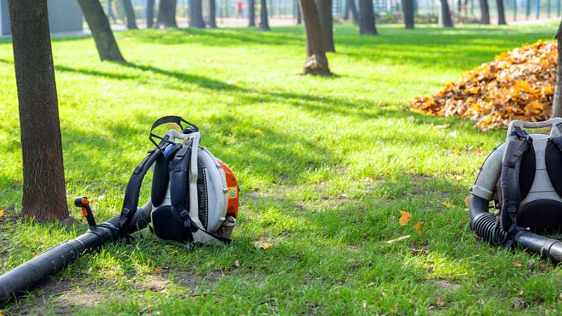 Leaf Removal